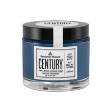 Load image into Gallery viewer, Century