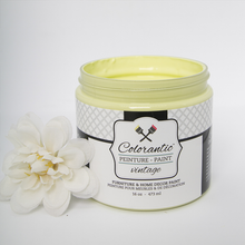Load image into Gallery viewer, Chalk Based Paint - Exotic Margarita